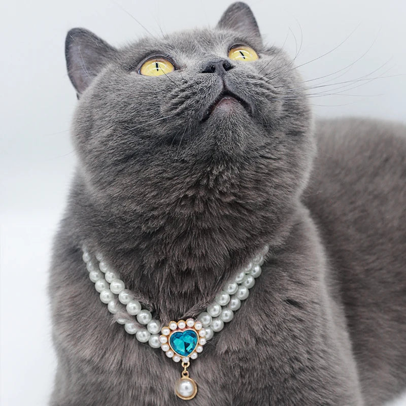 Small dog wearing gem pendant pearl necklace with lace accents