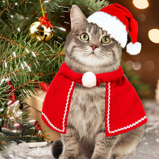 Adorable cat wearing reindeer antlers, Santa hat, red scarf, and holiday cloak for Christmas celebrations