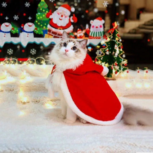 Cat wearing a red and brown Christmas cloak, ideal for festive parties and holiday photos.