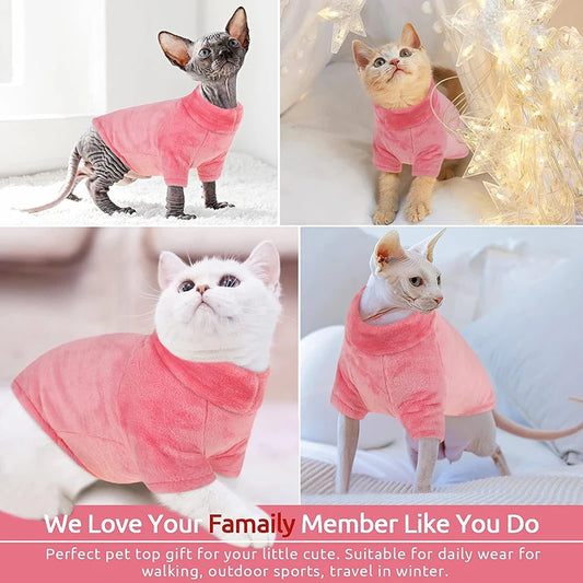 Hairless cat wearing turtleneck fleece winter sweater