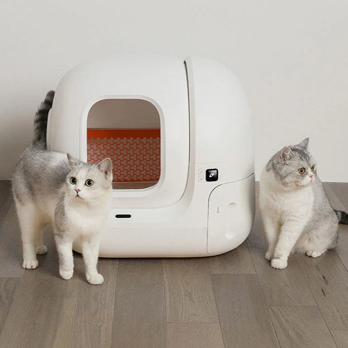 Self-cleaning smart cat litter box with odor control and app features