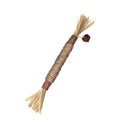 Natural cat mint sticks for chewing and dental care in cats