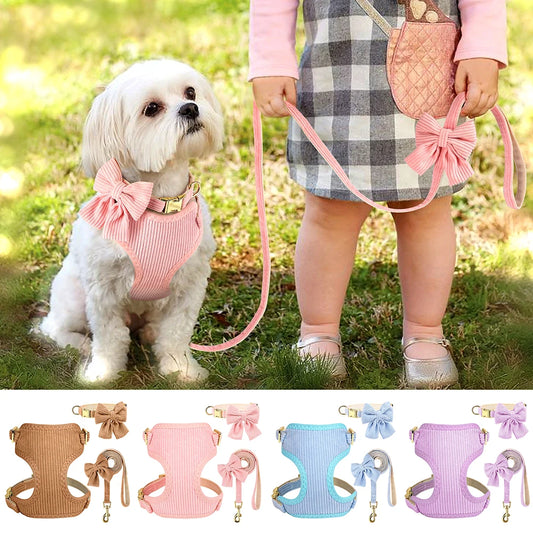 Small dog wearing cute bowtie harness with matching leash and collar