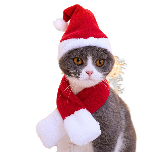 Pet Christmas hat and scarf set, festive holiday accessory for dogs and cats