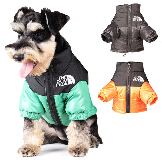 Reflective winter dog jacket for French Bulldogs and Chihuahuas