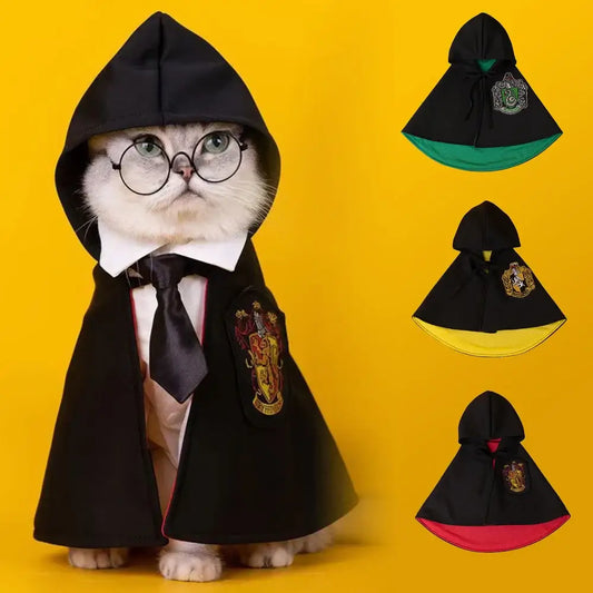 Cat or small dog wearing a shiny satin cape with magical Halloween theme.