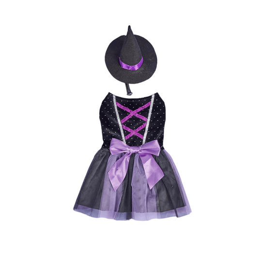 Small dog wearing a velvet Halloween dress with a matching witch hat, posing adorably for a festive photo.
