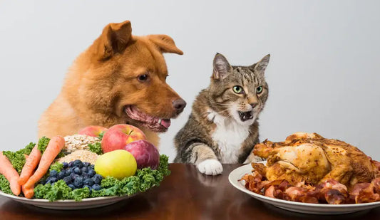 Pet Nutrition: Exploring Personalized Diets and Future Trends