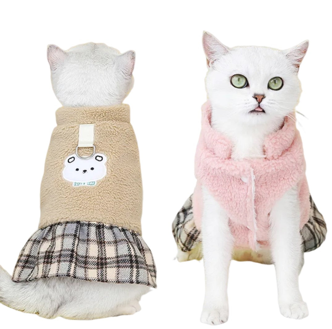 Cat wearing stylish outfit – fashion accessories from our cat apparel line
