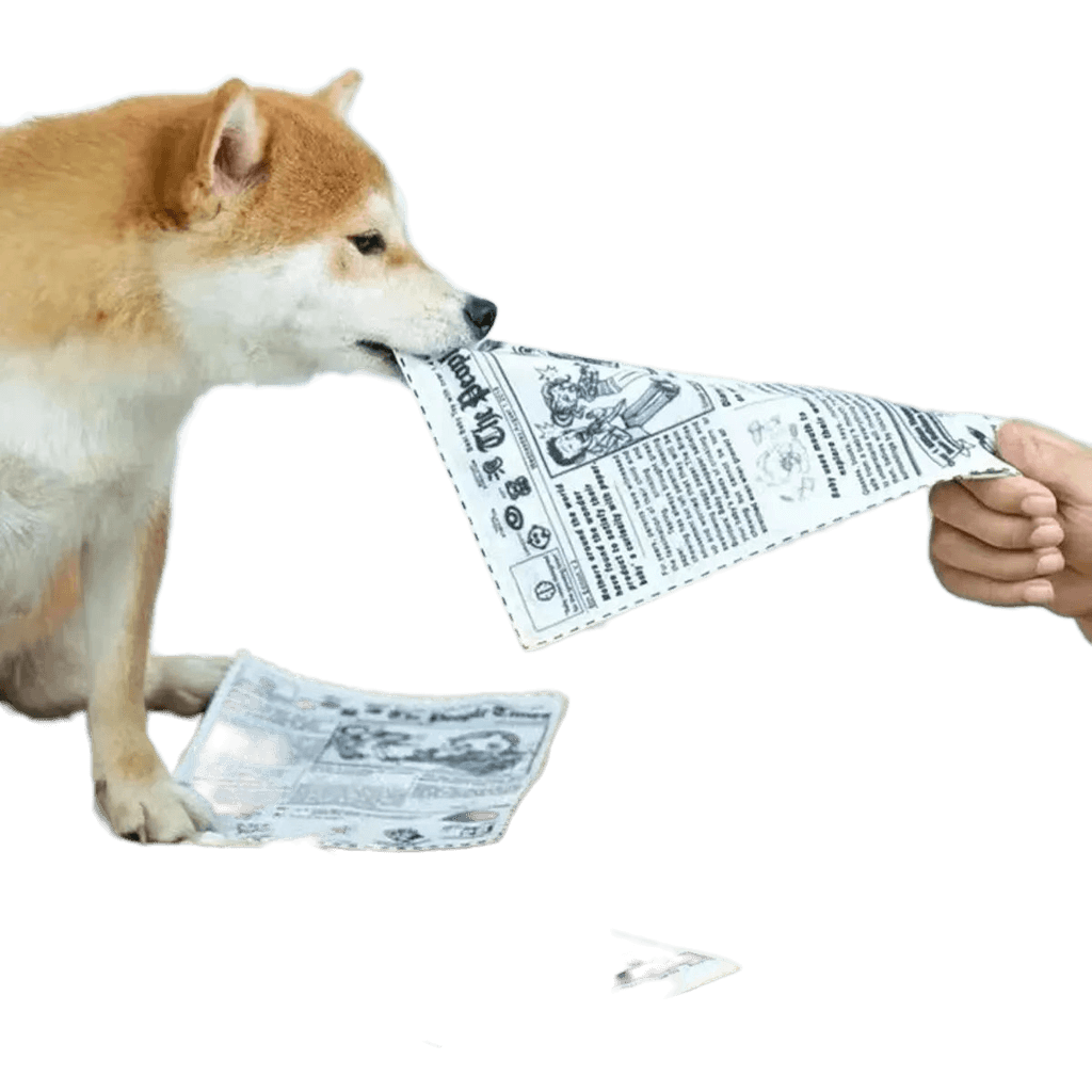 The Pet Paradise | Tearproof Dog Squeaky Toy - Simulated Squeaking Newspaper and Playing Card, Teeth Resistant Interactive Toy for Puppies, Corgis, and Small Dogs