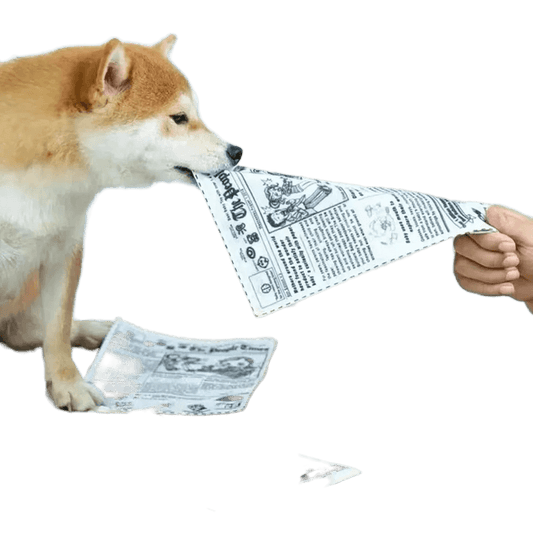 The Pet Paradise | Tearproof Dog Squeaky Toy - Simulated Squeaking Newspaper and Playing Card, Teeth Resistant Interactive Toy for Puppies, Corgis, and Small Dogs