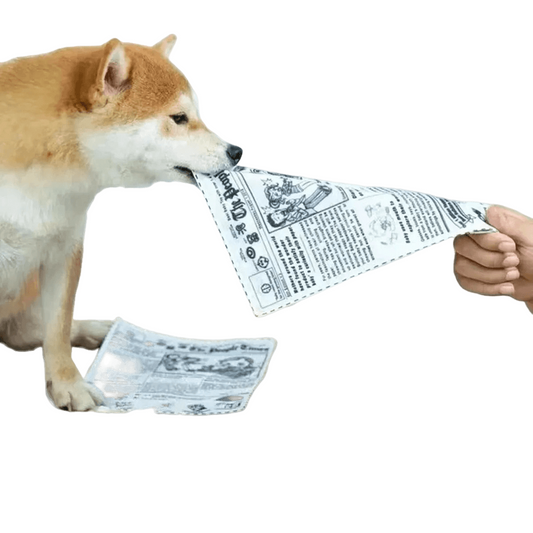 Tearproof dog squeaky toy designed like newspapers and playing cards, ideal for small to medium dogs with durable and fun design.