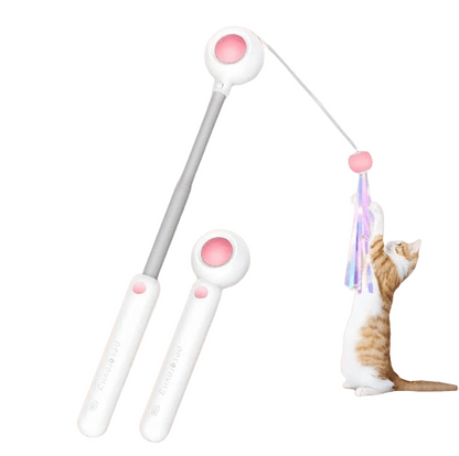 Cat playing with interactive gravitational teaser laser wand