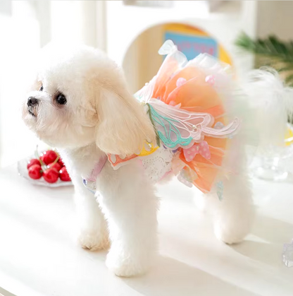 Small dog wearing the Butterfly Princess Dress, showcasing a charming and stylish design perfect for special occasions.