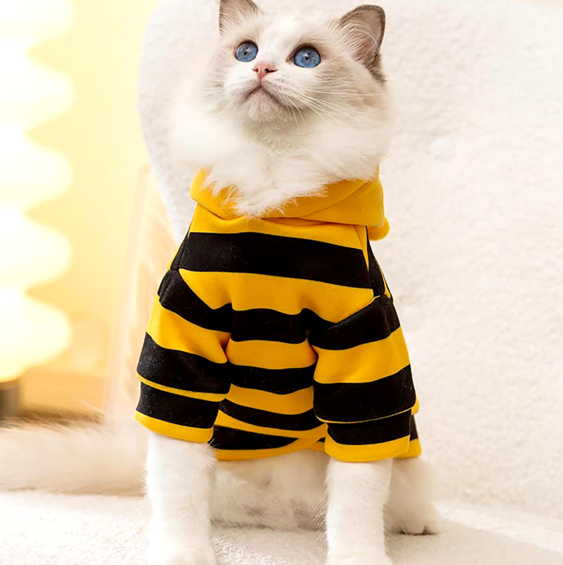 Dog Bee Costume - Soft hoodie for pets, perfect for Halloween and Christmas celebrations.