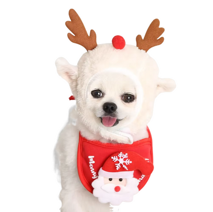 Pet wearing a Santa elk hat and Christmas bandana bib scarf for holiday celebration