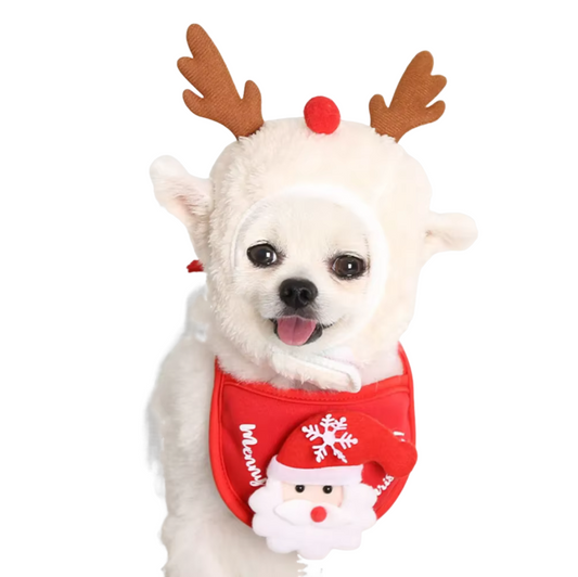 Christmas Puppy Dog Cat Costume with Santa Elk Hat and Bandana Bib Scarf, perfect for holiday dress-up