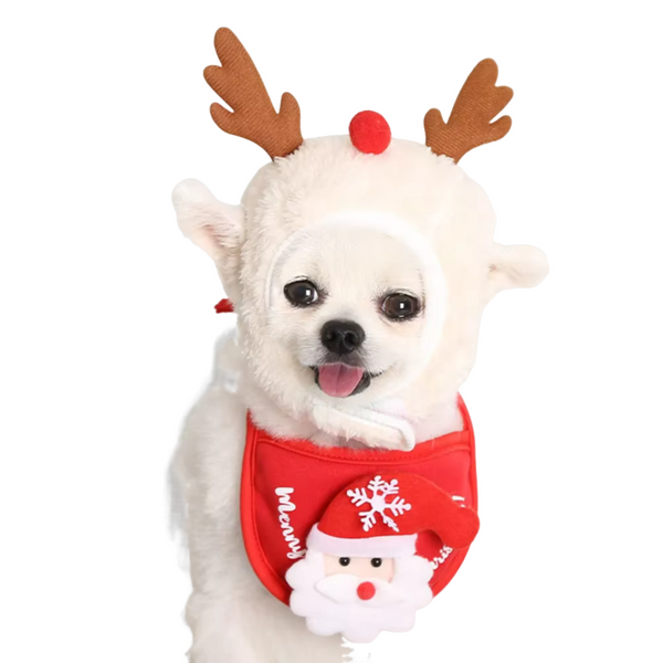 Christmas Puppy Dog Cat Costume – Santa Elk Hat and Holiday Bib Set