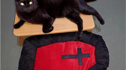 Cat sleeping in a Halloween-themed plush pet nest bed.