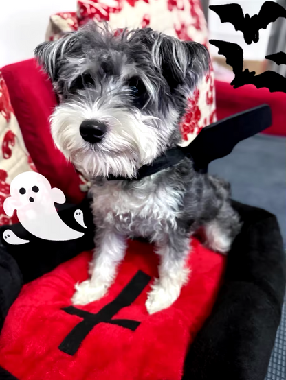Cat sleeping in a Halloween-themed plush pet nest bed.
