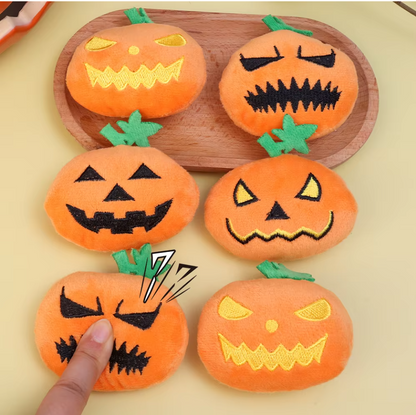 Small dog playing with a Halloween ghost face pumpkin squeaky toy.