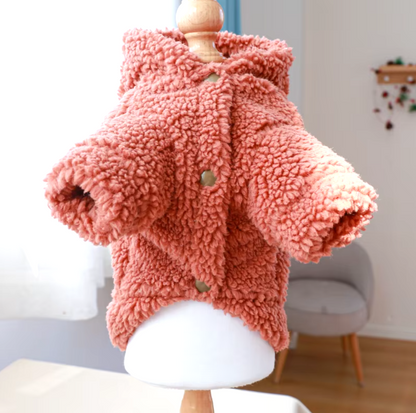 Small dog wearing a thick plush Halloween hoodie coat for chilly weather.