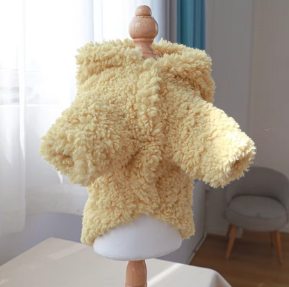 Small dog wearing a thick plush Halloween hoodie coat for chilly weather.