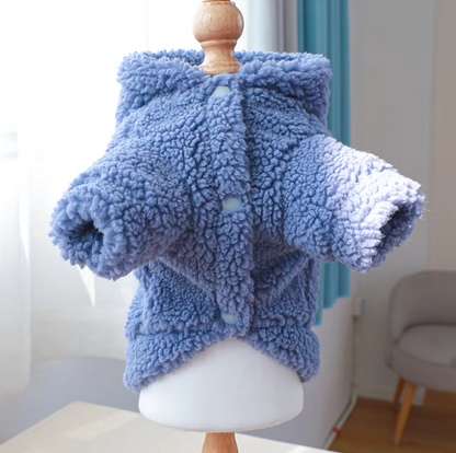 Small dog wearing a thick plush Halloween hoodie coat for chilly weather.