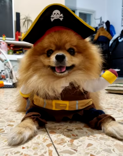 Pirate dog costume, Halloween dog outfit, corsair jacket for dogs, funny dog costume
