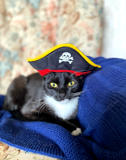 Pirate dog costume, Halloween dog outfit, corsair jacket for dogs, funny dog costume