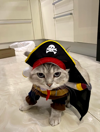 Pirate dog costume, Halloween dog outfit, corsair jacket for dogs, funny dog costume