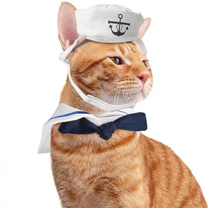 Cat wearing a funny navy sailor costume with a sailor hat and collar, looking stylish and adorable.