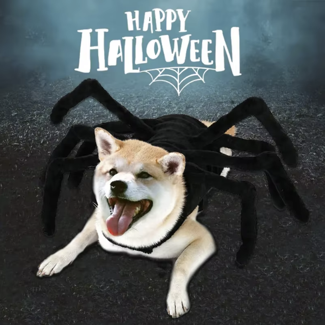 Halloween Dog Costume featuring a black spider design, perfect for festive celebrations and themed events. Available in multiple sizes for all dogs.