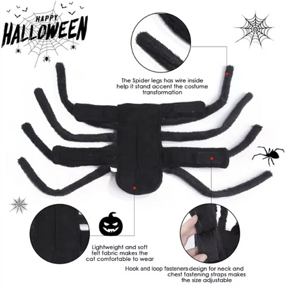 Dog dressed in a black Halloween spider costume with plush legs.