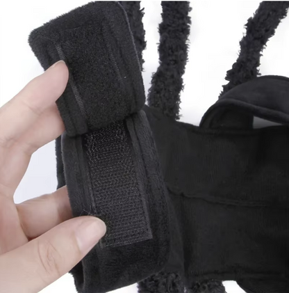 Dog dressed in a black Halloween spider costume with plush legs.