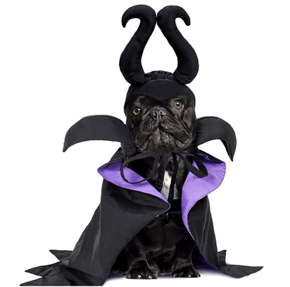 Maleficent-inspired Halloween cape and hat set for dogs and cats, perfect for spooky celebrations.