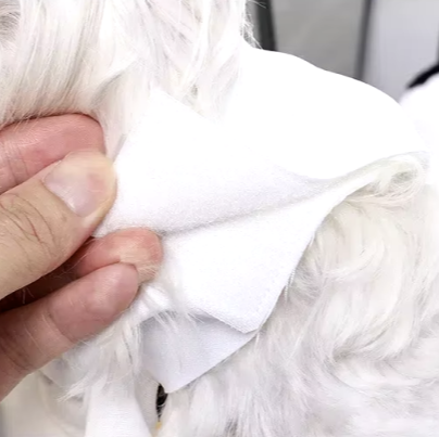 Halloween ghost costume for cats and dogs with pumpkin pocket and funny hat, perfect for spooky celebrations.