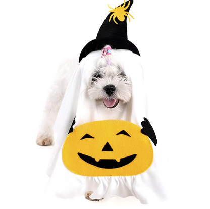 Halloween ghost costume for cats and dogs with pumpkin pocket and funny hat, perfect for spooky celebrations.