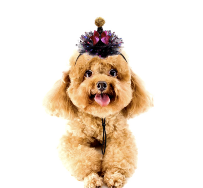 Halloween witch and wizard hat costume for cats and small dogs with adjustable strap for a magical look.