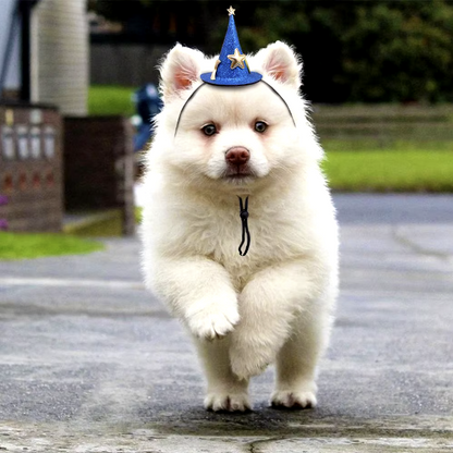 Halloween witch and wizard hat costume for cats and small dogs with adjustable strap for a magical look.