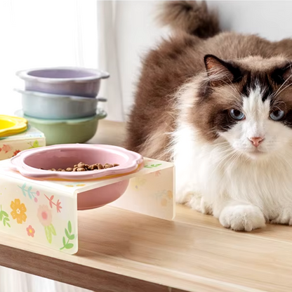 Flower-shaped ceramic pet bowl with clear acrylic stand for cats and dogs.