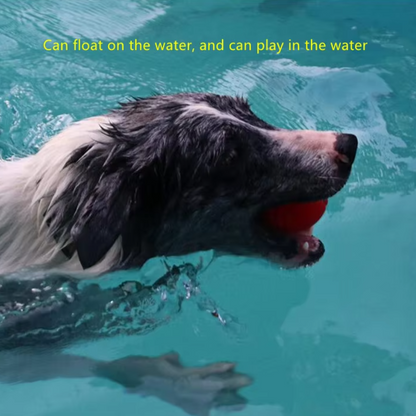 Durable rubber bouncing dog chew ball for fetch and chewing