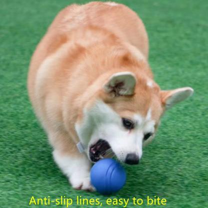 Durable rubber bouncing dog chew ball for fetch and chewing