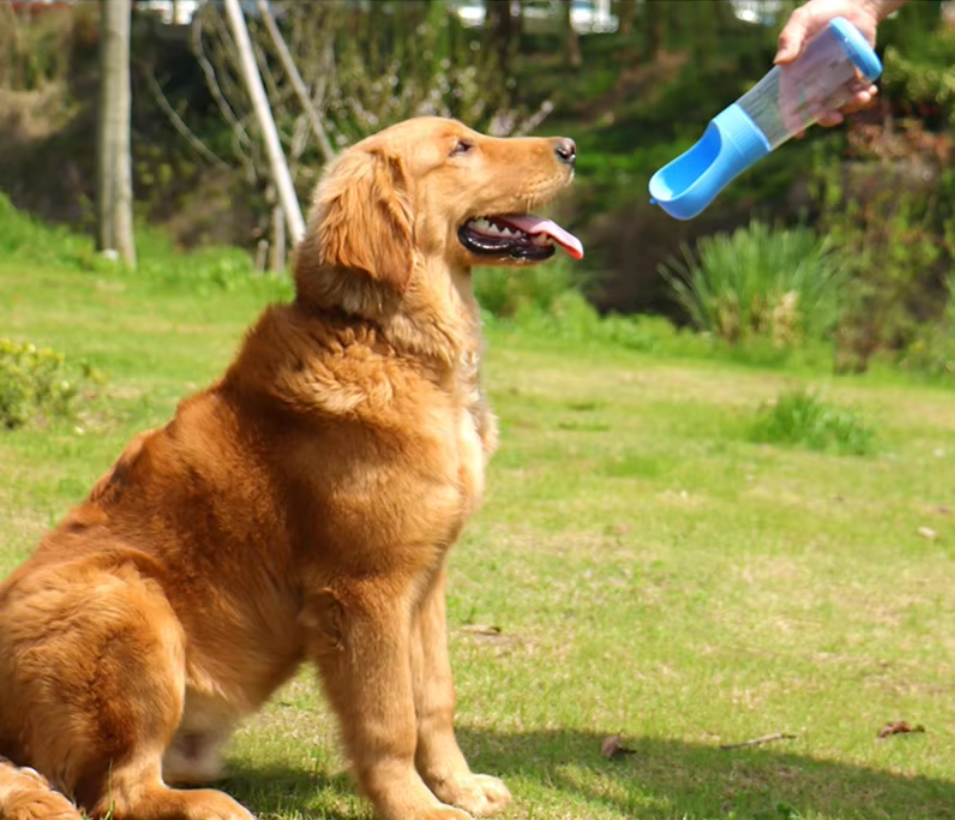 Portable 2 in 1 dog water bottle with food dispenser, perfect for outdoor walks and adventures, ensuring hydration and nutrition for your pet.