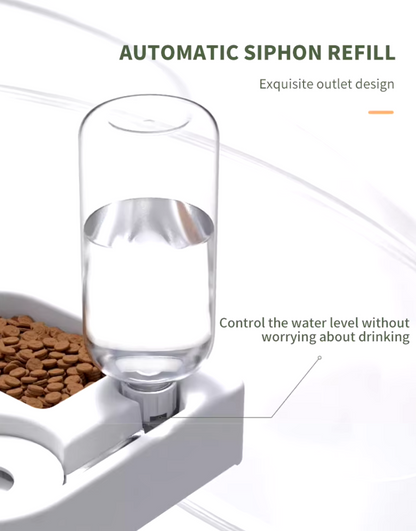 Double dog and cat bowl set for feeding and drinking, durable pet-safe materials, stylish design, easy to clean for small dogs and cats.