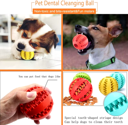 Natural rubber chew ball for dogs promoting dental hygiene and interactive pla