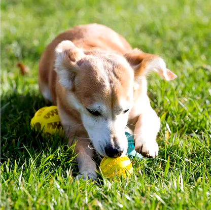 Natural rubber chew ball for dogs promoting dental hygiene and interactive pla