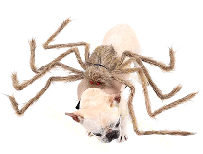 Dog wearing a giant plush spider costume for Halloween with funny, spooky legs.