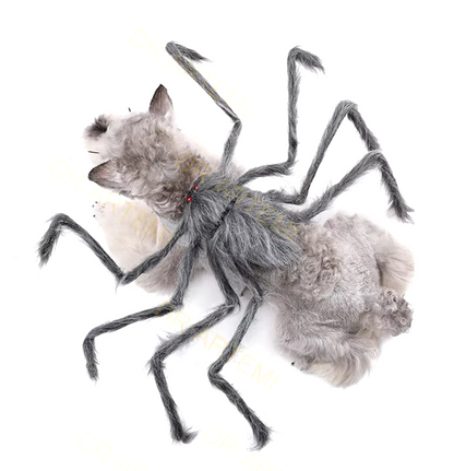 Dog wearing a giant plush spider costume for Halloween with funny, spooky legs.