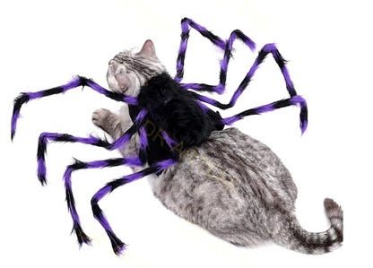 Dog wearing a giant plush spider costume for Halloween with funny, spooky legs.